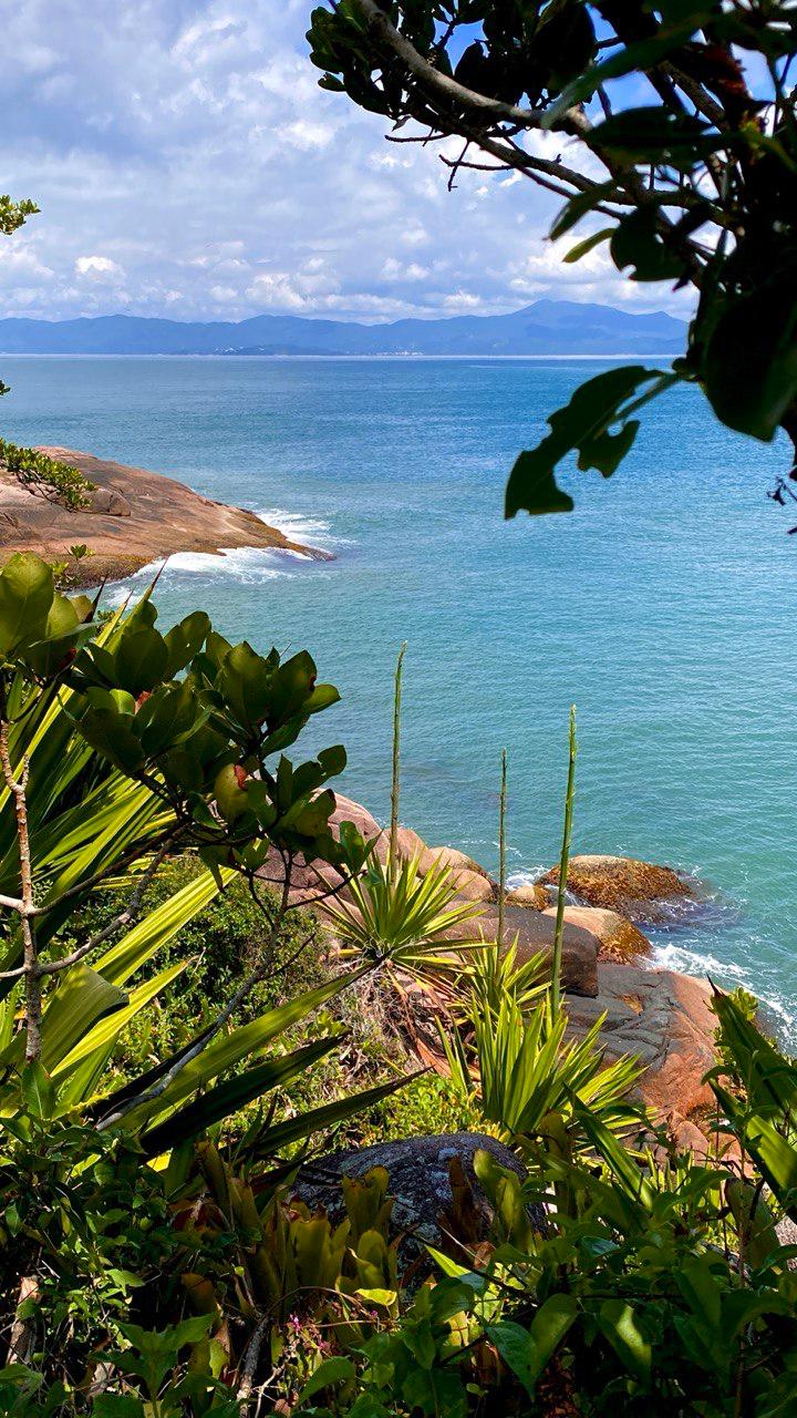 Активности и развлечения в Ponta das Canas